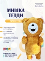 Аэрокостюм "Мишка Тедди"