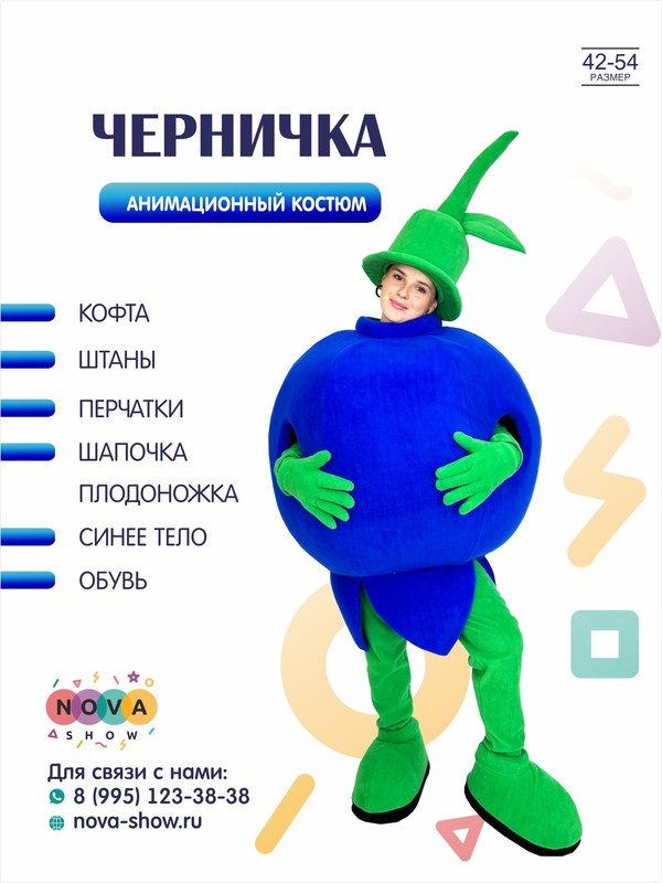 Анимационный костюм "Черничка"