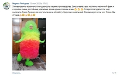 Анимационный костюм "Снегурочка Морозная Красавица"