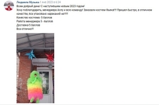 Анимационный костюм "Леди в красно-черном"