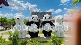 Костюм надувной "Панда"