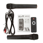 Колонка 10" (20-53 FIRE BOX 1200) динамик 2шт/10" ELTRONIC с TWS