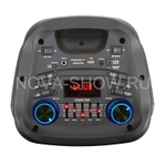 Колонка 08" (20-58 DANCE BOX 500) динамик 2шт/8" черная ElTRONIC с TWS