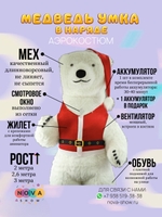 Аэрокостюм "Медведь Умка" в наряде Санты