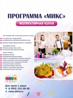 Программа молекулярной кухни "Микс"