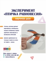 Эксперимент "Птичка равновесия"