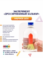 Эксперимент "Дрессированный кальмар"