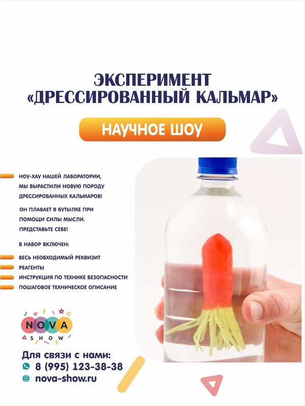 Эксперимент "Дрессированный кальмар"