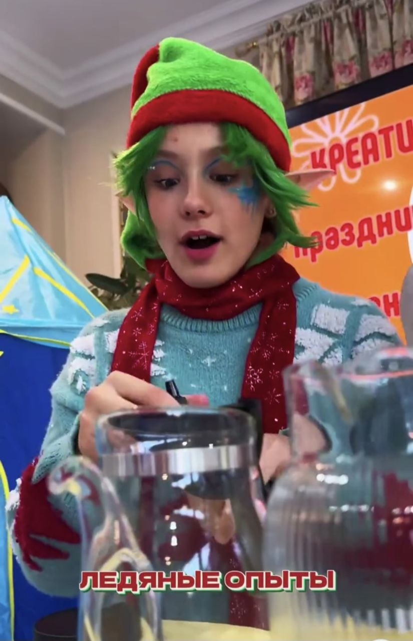 Программа "Тайна Северного Эльфа"