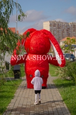 Аэрокостюм "Зайка"