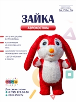 Аэрокостюм "Зайка"