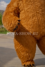 Аэрокостюм "Бурый Мишка"
